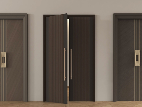 Modern entrance door double door