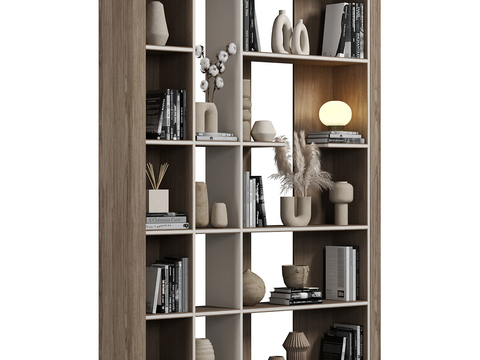 Modern Bookcase Showcase