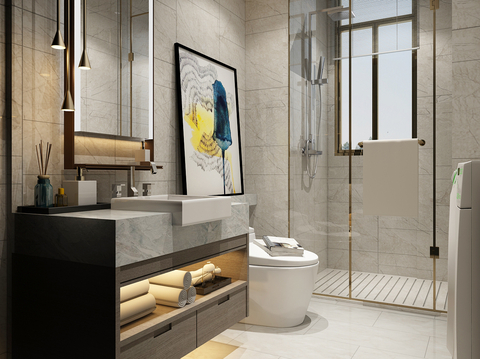 Affordable Luxury Style Toilet Bathroom