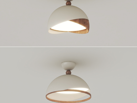 modern ceiling lamp