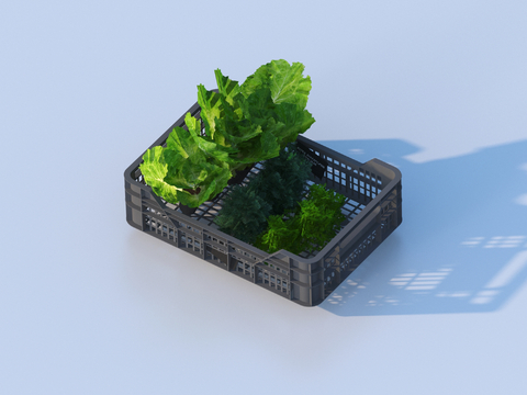 Vegetable basket