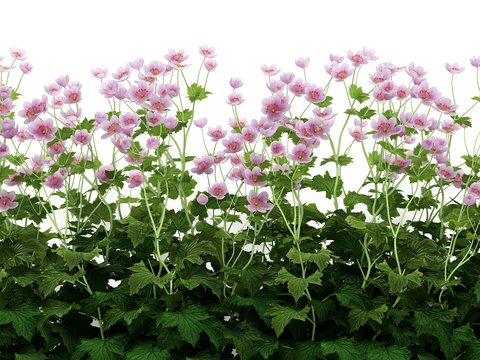 combination of flowers and plants green plant