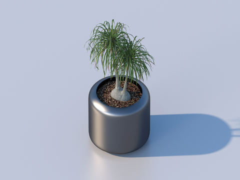 flowerpot potted plant green plant