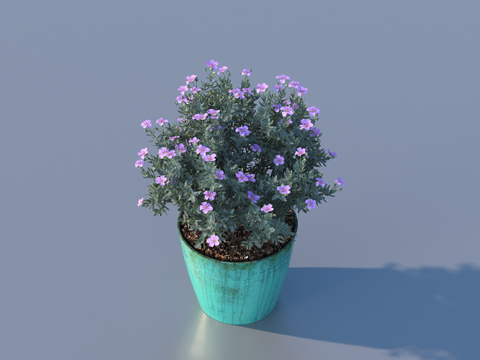 flowerpot potted plant green plant