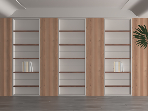 Modern Bookcase Showcase