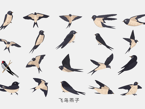 Spring Swallow Wall Decorative Wall Stickers Illustration