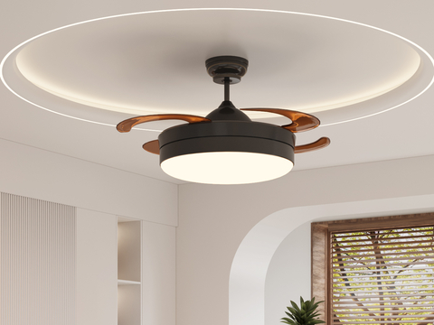 Modern ceiling fan light fan light