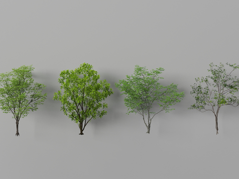 Landscape Trees Trees Plant Trees Landscape Trees