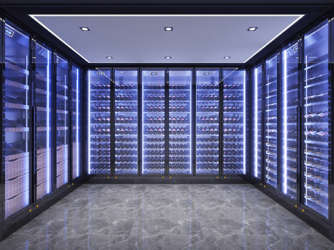 Modern Red Wine Cellar Cold Room