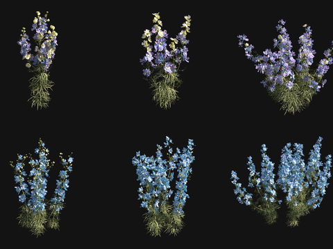 Delphinium flowers and grass