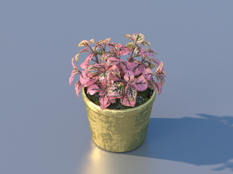 flowerpot potted plant green plant