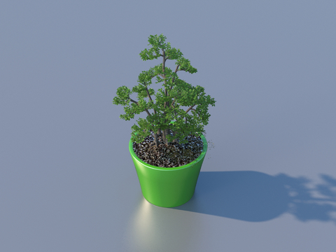 flowerpot potted plant green plant