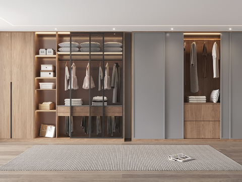 Modern Wardrobe Closet