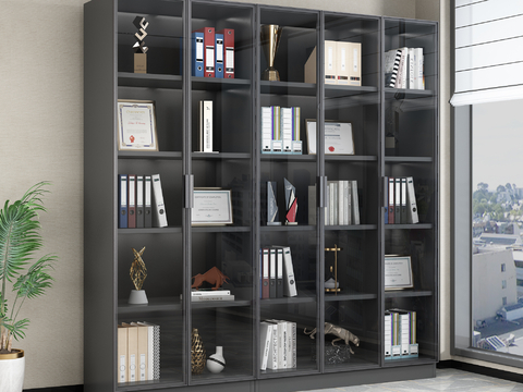 Modern Bookcase Showcase