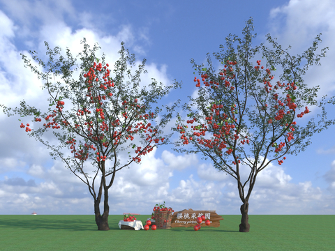 Modern arbor fruit tree landscape tree cherry tree