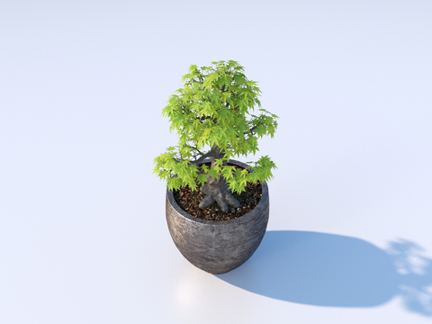 flowerpot potted plant green plant