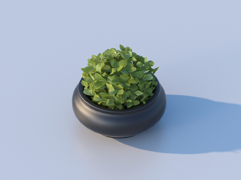 flowerpot potted plant green plant