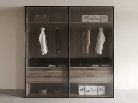 Modern Wardrobe Closet