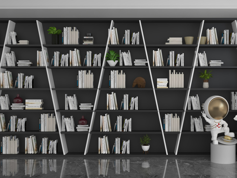 Modern Bookcase Bookshelf