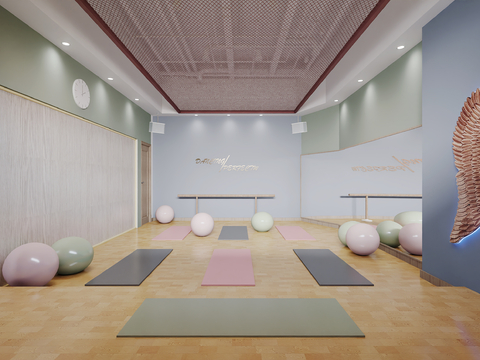 Modern Yoga Studio