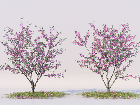 Modern Peach Blossom Tree Landscape Tree