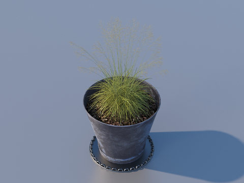 flowerpot potted plant green plant