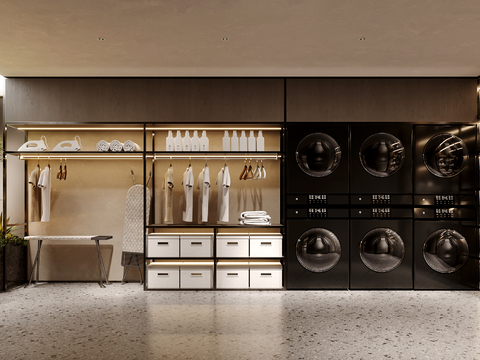 Modern Laundry Room Laundry Room Villa Cloakroom