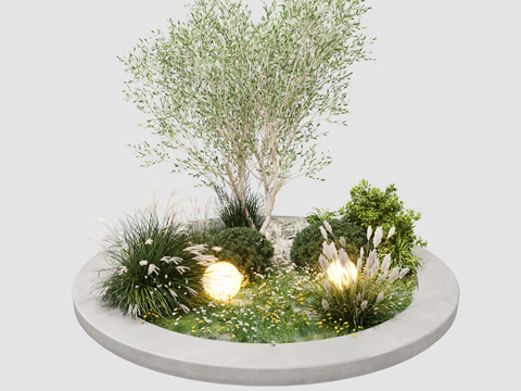 plant potted plant green plant grass tingbu round flower bed