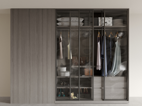 Modern Wardrobe Closet