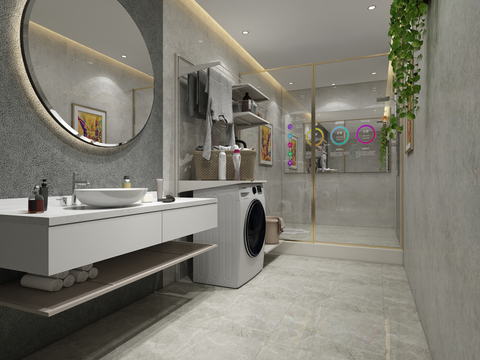 Modern Toilet Bathroom Laundry Room