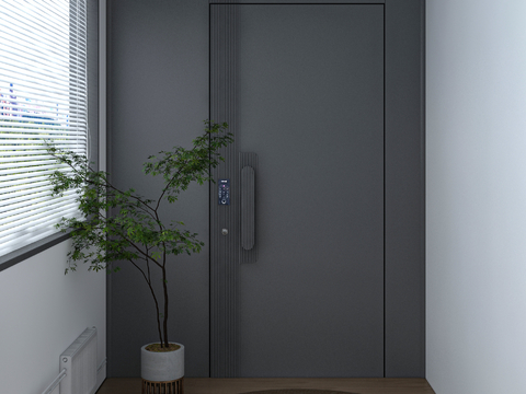 Modern entry door security door