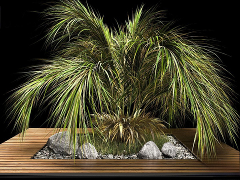 Modern palm flower bed plant pile tree pool