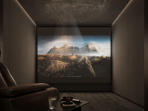 Modern Home Cinema Screening Room Audio Room