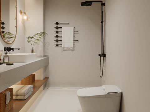 Modern Simple Toilet Bathroom