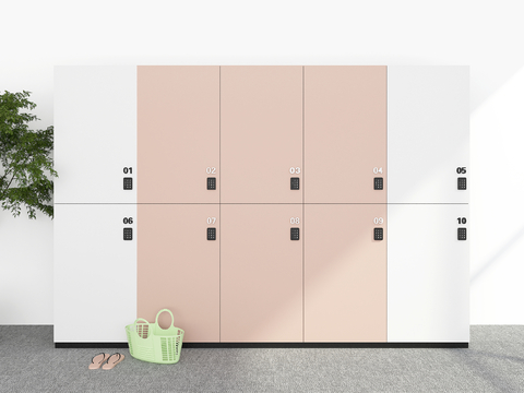 Modern Locker Locker