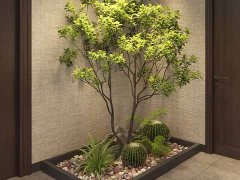 Modern Plant Landscape Indoor Plant Landscape