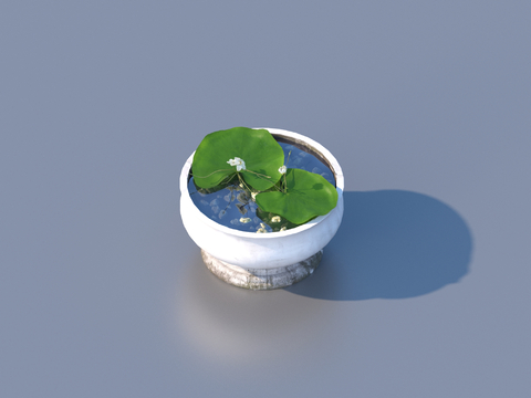 flowerpot potted plant green plant