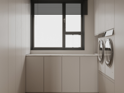 Modern Toilet Laundry Room