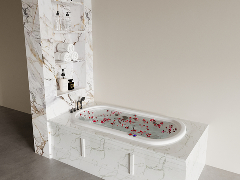 Bathtub Niche Bathtub