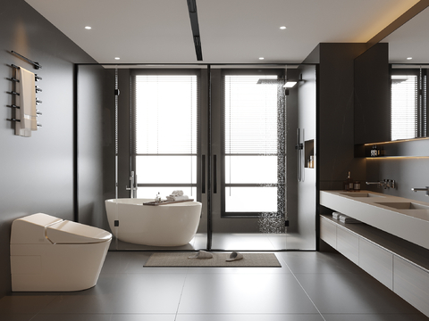 Modern Toilet Bathroom