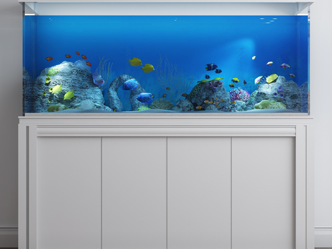 Modern Aquarium Fish Tank Ornamental Fish