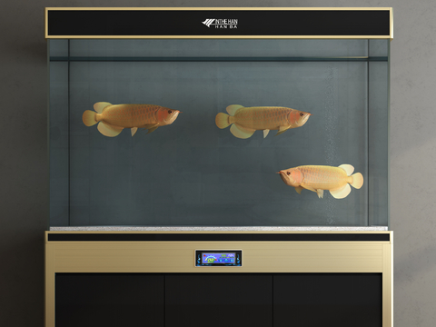 Modern Aquarium Fish Tank Golden Dragon Fish