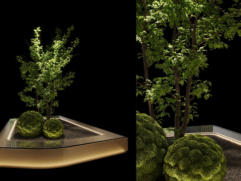 Flower bed flower trough landscape tree moss ball