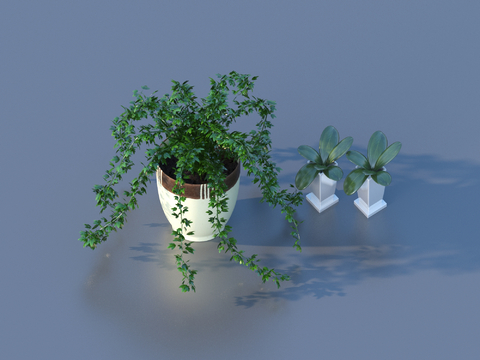 flowerpot potted plant green plant