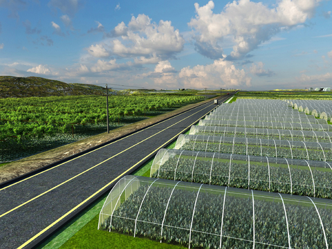 Chinese farmland greenhouse