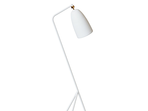 Lighting lamp Decorative Light art lamp floor lamp