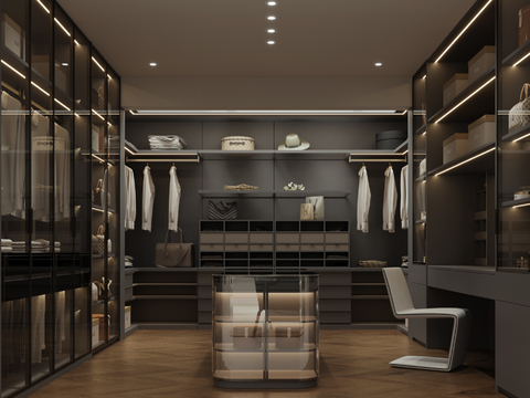 Modern Cloakroom