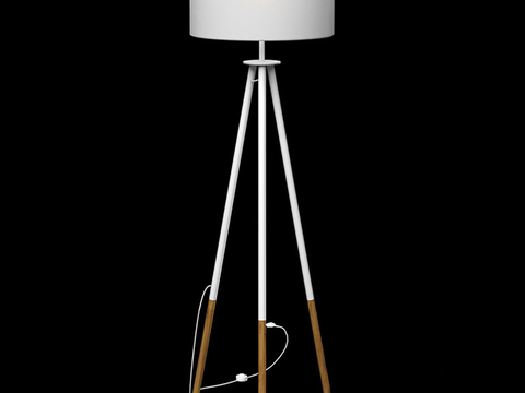 Floor lamp