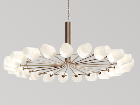 Modern metal chandelier multi-head chandelier