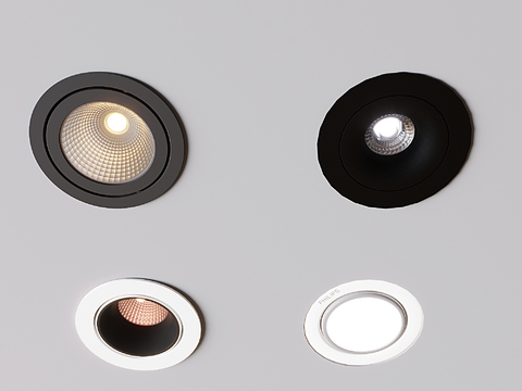 Modern Downlight